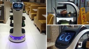 china-robot-serving-food-in-a-private-restaurant-in-avinasi