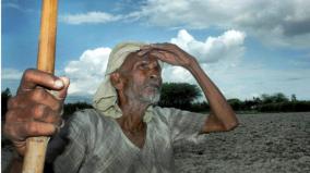 2-366-farmers-died-by-suicide-in-maharashtra-in-10-months-this-year