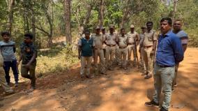 an-18-member-team-was-formed-to-monitor-elephant-movement-on-coonoor-hills