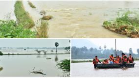 tuticorin-flood-rescue-and-relief-work-intensified