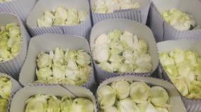 christmas-action-to-send-30-lakh-roses-from-hosur-to-kerala