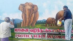 government-school-teacher-paints-to-protect-elephants-corridors