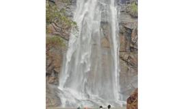 kollimalai-weeded-by-travelers-bathing-on-waterfalls-and-enjoying-the-excitement