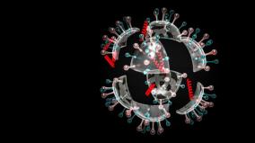 jn-1-emerges-as-variant-of-corona-virus-explained-in-tamil