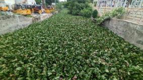 encroachment-of-13-rain-water-canals-of-madurai-officials-who-conducted-a-survey-were-shocked