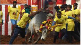 request-for-hand-over-to-collector-details-of-gift-items-for-jallikattu