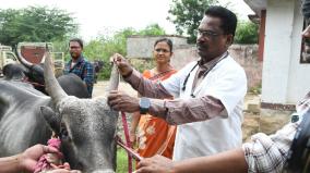 madurai-jallikkattu-festival-works-begins