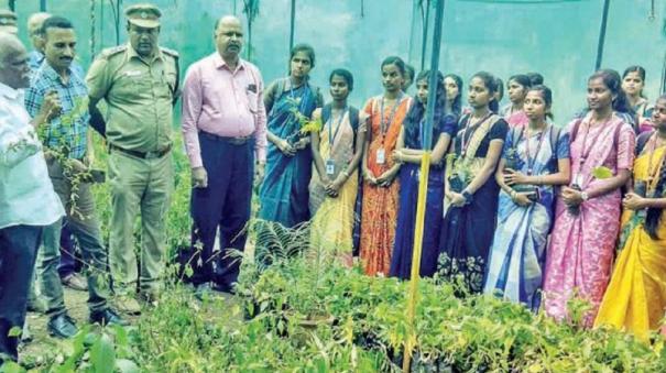 Forest Department @ Coimbatore Selling Medicinal Herb Seedlings for Rs.5 to Benefit People