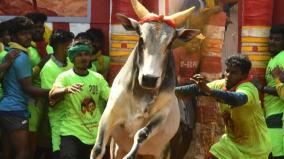 avaniyapuram-palamedu-alanganallur-jallikattu-dates-2024