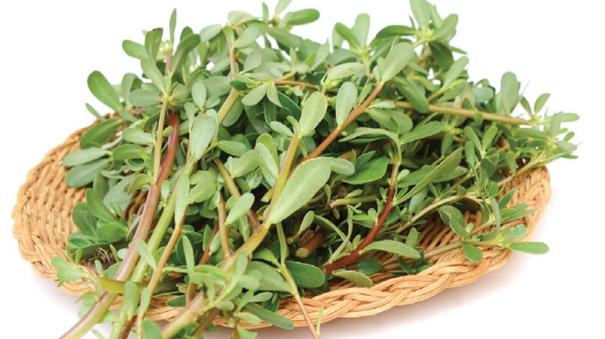 White goosefoot For liver protection