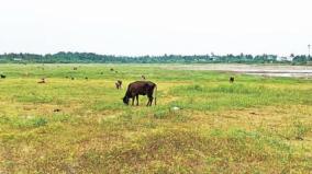 rapidly-reducing-water-level-on-harur-area-water-bodies-risk-of-affecting-agriculture