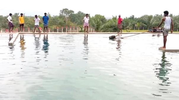 30 lakh swimming pool for training bulls