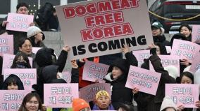 south-korea-parliament-passes-bill-banning-dog-meat-trade