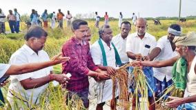 rs-25-000-per-acre-compensation-for-rain-hit-paddy-crops-pr-pandian-insists