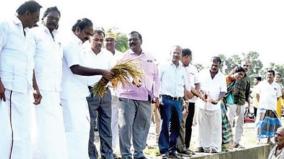 18000-acres-of-paddy-crops-affected-by-heavy-rain-on-mayiladuthurai-minister-informs-after-inspection