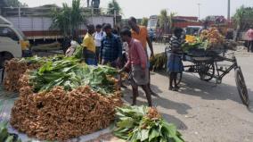 pongal-special-market-in-koyambedu