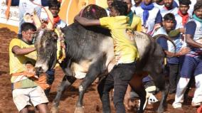 6-cars-were-awarded-on-behalf-of-cm-stalin-and-minister-udhayanidhi-in-jallikattu-competitions
