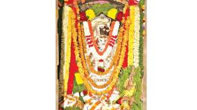 krishnagiri-kattu-veera-anjaneyar-temple-hanuman-jayanti-celebration