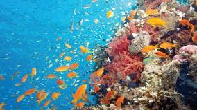 marine-life-helps-trace-ancient-geothermic-conditions