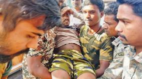 anti-poaching-guard-injured-after-being-attacked-by-an-elephant-on-mudumalai