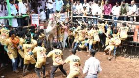 avaniyapuram-jallikattu-car-gift-to-youth-who-tamed-17-bulls-51-injured