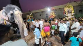 pongal-festival-at-meenakshi-amman-temple-sugarcane-giving-ceremony-to-stone-elephant