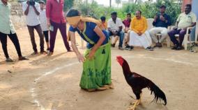 cock-catching-jallikattu-competition-on-tiruchengode-women-girls-participate-with-enthusiasm