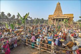 special-pooja-for-nandhi-in-tanjore-big-temple