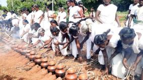 women-dressed-on-white-sarees-and-putting-on-pongal-a-100-year-old-festival-near-sivaganga