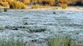 late-onset-of-frost-on-kodaikanal-impact-on-normal-life