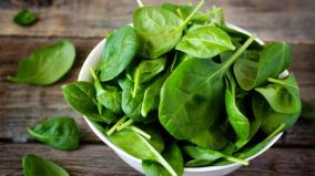 palak-spinach-is-good-for-diabetics