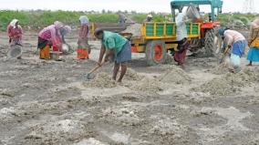delayed-salt-production-on-tuticorin-producers-suffer-due-to-extra-cost