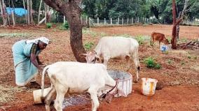 panchayat-leader-s-achievement-by-setting-up-a-livestock-and-vegetable-farm-with-his-own-funds-and-turning-ilangudi-into-a-self-supporting-village