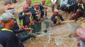 court-orders-the-tn-govt-to-close-134-illegal-shrimp-farms-in-tamil-nadu