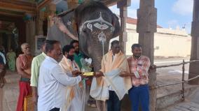 mangalam-chosen-as-the-best-temple-elephant-in-tamil-nadu