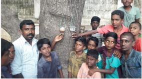 youth-creating-green-awareness-among-madurai-students