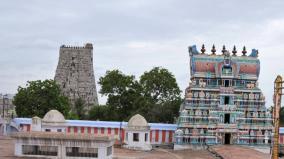 old-kodimaram-at-srivilliputhur-andal-temple-went-missing