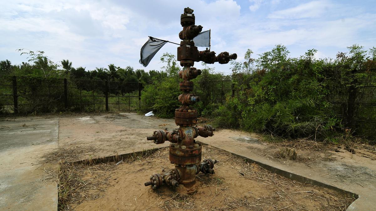 காவிரி டெல்டா பகுதிகளில் ஹைட்ரோ கார்பன் எடுக்க உரிமம் வழங்கப்படவில்லை: உயர் நீதிமன்றத்தில் தமிழக அரசு தகவல் | No licenses have been issued for hydrocarbon extraction in the Cauvery delta