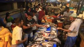 fish-prices-rise-due-to-lack-of-supply-vellore