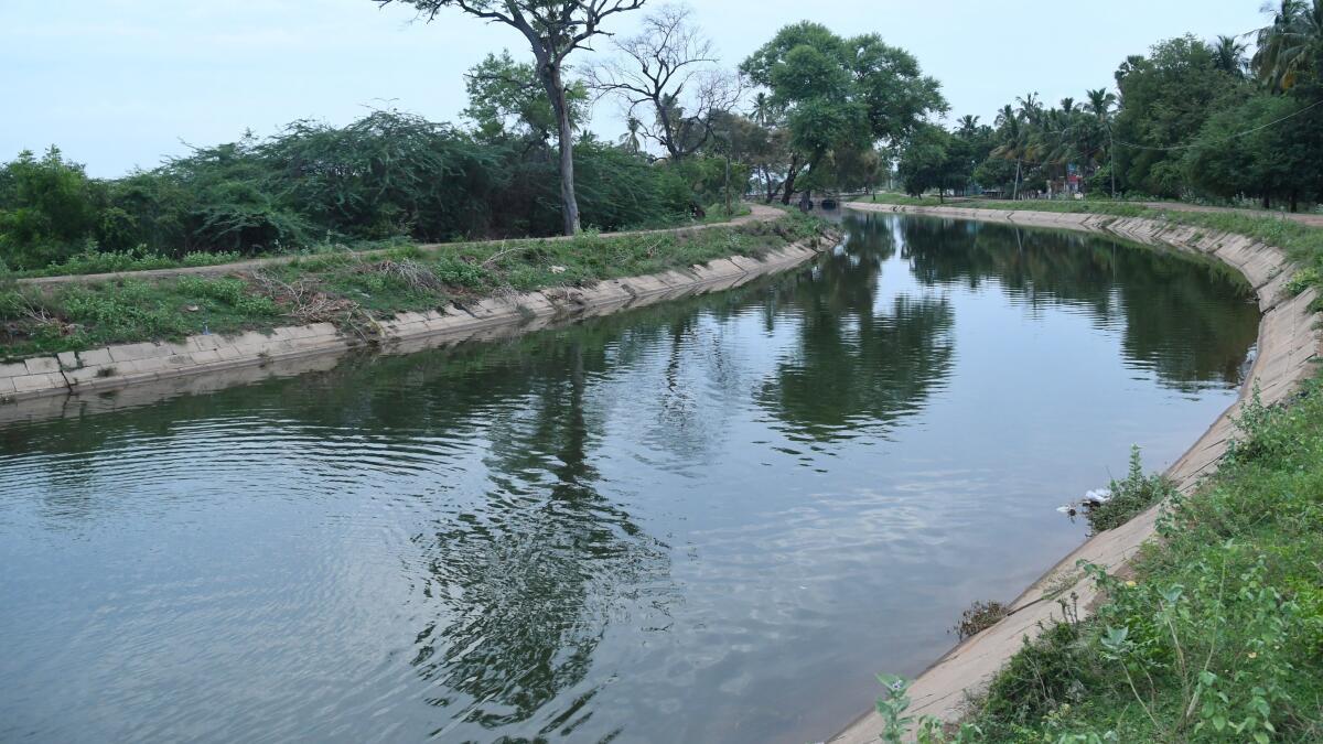 மேலூர் ஒருபோக பாசனத்துக்கு 120 நாட்கள் நீர் திறப்பு: அரசு உறுதி @ உயர் நீதிமன்றம் | 120 days water will be opened for Melur irrigation govt on court