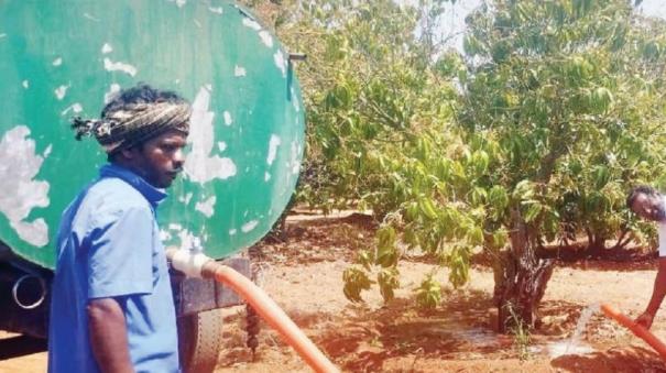 Farmers on Krishnagiri Buy Water at High Cost to Maintain Mango Trees