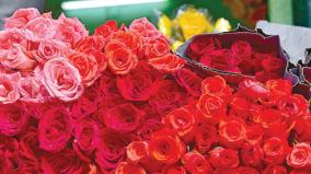 african-countries-overtake-india-in-rose-exports