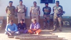three-arrested-for-cutting-karungali-tree-in-tiger-reserve-srivilliputhur