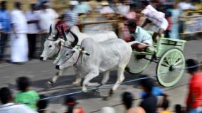 formulation-of-rules-for-conducting-bullock-cart-races-in-tamil-nadu