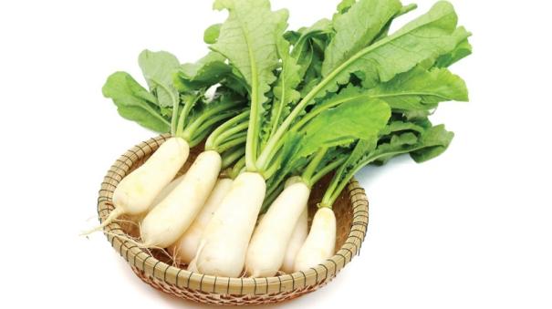 Radish greens to control urinary obstruction