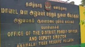 aiadmk-person-fined-rs-1-lakh-for-harassing-an-elephant-in-the-forest