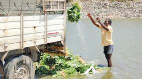 spinach-cleaned-on-contaminated-water-at-shoolagiri-health-inspector-warns