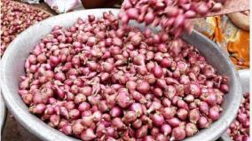 onion-rate-decreased-in-madurai