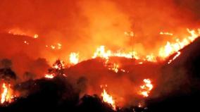 a-forest-fire-broke-out-in-the-kodaikanal-hills-at-midnight