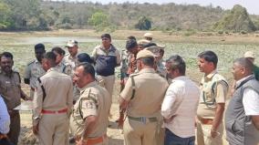forest-department-works-on-to-get-elephant-near-osur